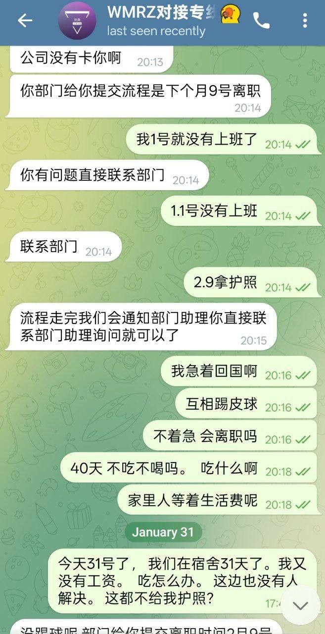 爆料柬埔寨西港，完美、好博、伽罗、诈骗杀猪盘